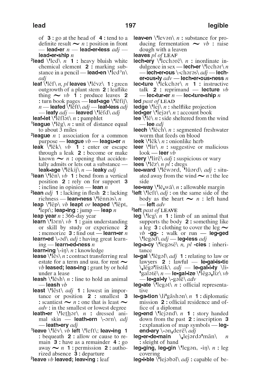 Webster's American English Dictionary, New Edition