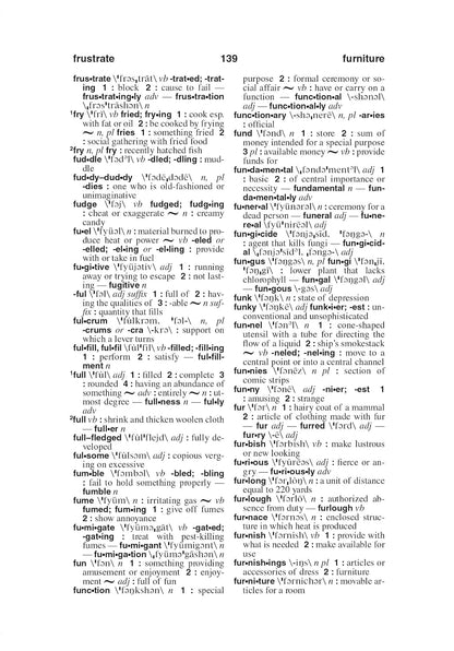 Webster's American English Dictionary, Expanded Edition, Newest Edition