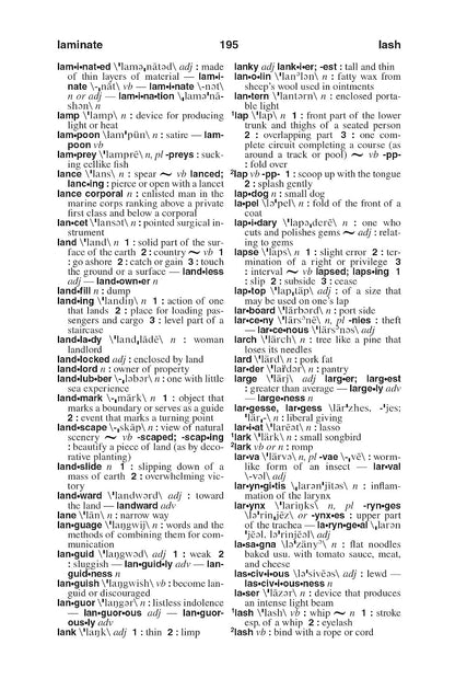 Webster's American English Dictionary, New Edition