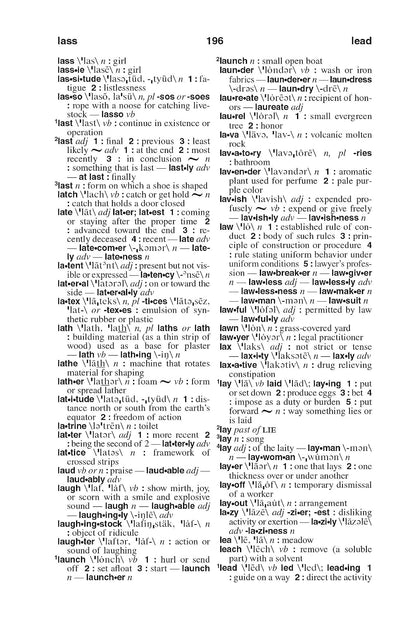 Webster's American English Dictionary, New Edition