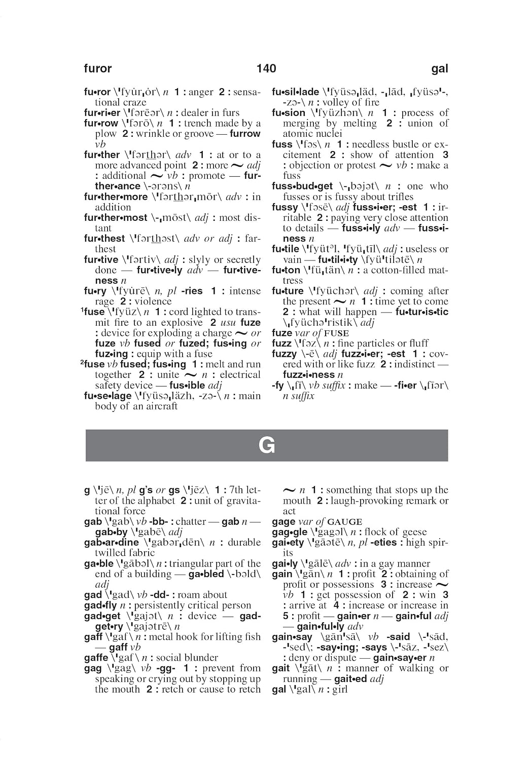 Webster's American English Dictionary, Expanded Edition, Newest Edition
