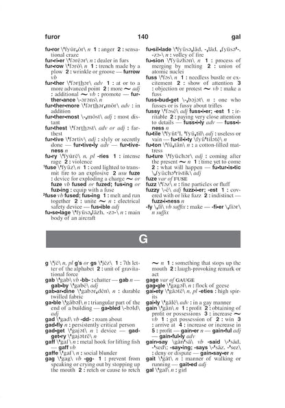 Webster's American English Dictionary, Expanded Edition, Newest Edition