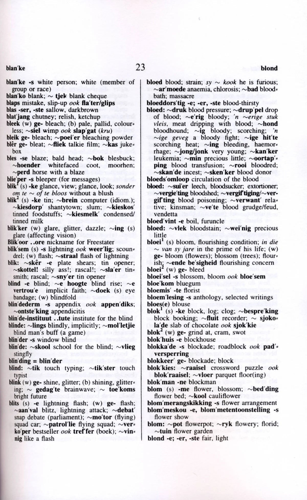 Afrikaans-English/English-Afrikaans Practical Dictionary