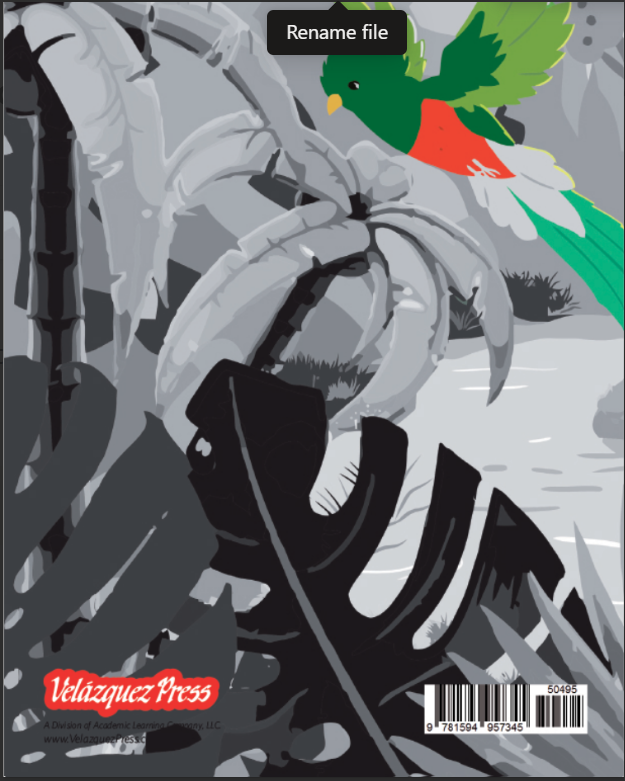 Bird Watching (Small Book)