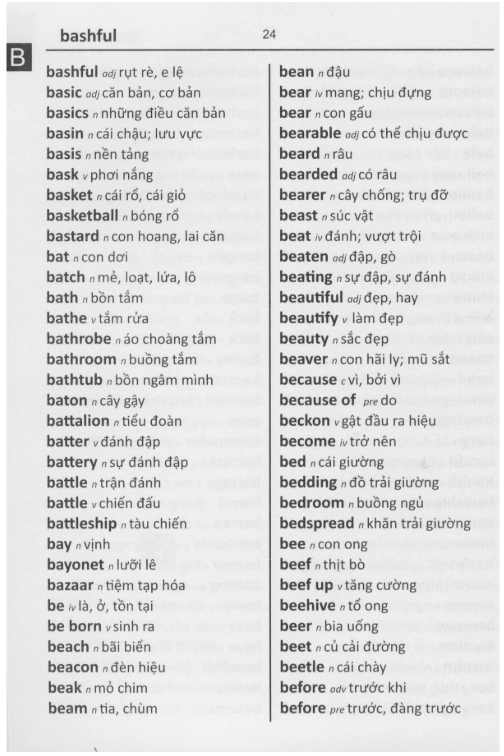 English-Vietnamese/Vietnamese-English Word to Word® with Subject Vocabulary