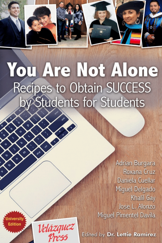 You Are Not Alone: Recipes to Obtain Success by Students for Students - Paperback